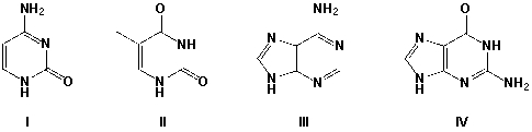 <strong>Hydrogen bonding is strongest between which two bases? </strong> A) I, II B) I, IV C) II, III D) II, IV