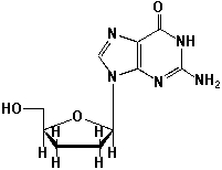 <strong>Dideoxynucleotides (ddNTPs, shown here is dideoxyguanosine) are nucleosides lacking the 3'-hydroxyl group on their deoxyribose sugar. They are the key molecules for the method of DNA-sequencing, which was developed by Frederick Sanger in 1977. What is the function of dideoxynucleotides, based on its structure? </strong> A) Dideoxynucleotides terminate DNA growth during replication at one distinct position. B) Dideoxynucleotides terminate DNA growth statistically at each A-, G-, C- or T-site, depending on the dideoxynucleotides used (ddA, ddG, ddC or ddT). C) Dideoxynucleotides terminate the DNA replication and switch on DNA transcription to mRNA. D) Dideoxynucleotides activate rRNA.