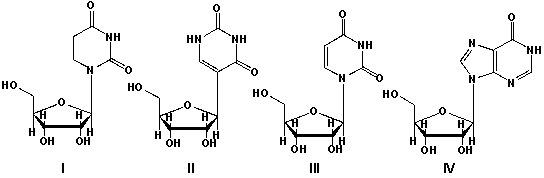 <strong>Transfer RNA (tRNA) is a small RNA molecule (usually less than 100 nucleotides) that transfers defined amino acids to a growing peptide chain at the ribosomal site during translation. tRNA contains unusual bases, such as, pseudouridine and inosine. Which sequence of ribonucleosides is correct? </strong> A) I: uridine, II: pseudouridine, III: inosine, IV: dihydrouridine B) I: pseudouridine, II: uridine, III: inosine, IV:dihydrouridine C) I: dihydrouridine, II: pseudouridine, III: uridine, IV: inosine D) I: inosine, II: dihydrouridine, III: uridine, IV:pseudouridine