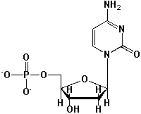 The following nucleoside is named Cytidine.