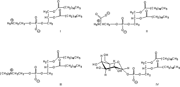 <strong>Which is the structure of a phosphatidyl choline? </strong> A) I B) II C) III D) IV