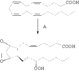 <strong>Which is the best description of the first step (A) of the biosynthesis of prostaglandin? </strong> A) hydration B) reduction C) oxidation D) Claisen condensation