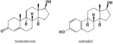 What are the main structural differences between molecules of estradiol (the predominant sex hormone in females, albeit present in males at lower levels) and testosterone (the principal male sex hormone and an anabolic steroid albeit it is also synthesized by females)?