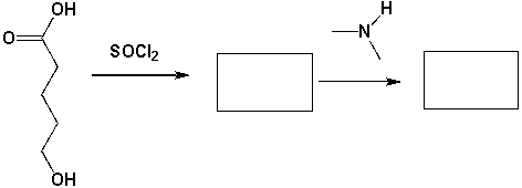 1 Mol of 5-hydroxypentanoic acid reacts with 1 mol of SOCl<sub>2</sub> and then with 1 mol of dimethylamine. What major products are formed in each step?  <div style=padding-top: 35px> 