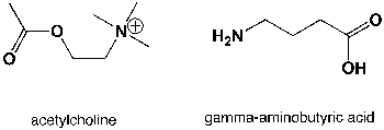 <strong>Which region in the IR spectrum could be used to distinguish between the neurotransmitters acetylcholine and 4-aminobutanoic acid ? </strong> A) 2900-3000 cm<sup>-1</sup> B) 1360-1380 cm<sup>-1</sup> C) 3100-3500 cm<sup>-1</sup> D) 2400-3500 cm<sup>-1</sup>