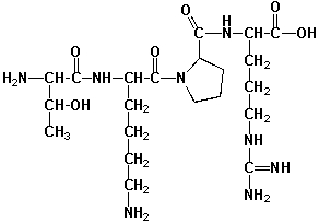 <strong>Tuftsin (named after Tufts University) has important functions in the human immune system. It binds to stereospecific receptors at the surface of macrophages and leukocytes, stimulating their bactericidal and tumoricidal activity. All stereocenters in this molecule have S-configurations. How many stereoisomers of tuftsin exist, which do not have the correct stereochemistry for receptor-binding? </strong> A) 7 B) 15 C) 31 D) 32