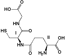 Glutathione is an antioxidant, which helps to protect our cells from oxidative damage. Assign R or S configurations to the stereocenters I and II