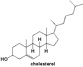 <strong>How many primary carbons are in cholesterol? </strong> A) 2 B) 3 C) 4 D) 5