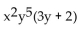 <strong>Factor. </strong> A) B) C) y + 2 D)