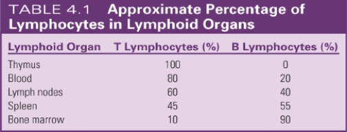 <strong>Match the lymphoid organs with the approximate percentage of T lymphocytes. See Table 4-1. Lymph nodes</strong> A)80% B)60% C)20% D)10%