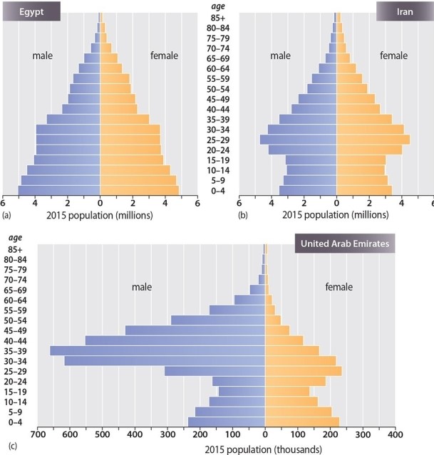 <strong>Which of the following statements is TRUE regarding the population pyramids of Egypt and Iran? </strong> A)Iran has a younger population than Egypt. B)Iran is growing faster than Egypt. C)Egypt is growing faster than Iran. D)Egypt and Iran are growing at roughly the same rate. E)Women have more children in Iran than do women in Egypt.