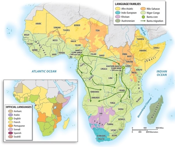 <strong>What is the most important of the indigenous language groups of Sub Saharan Africa? </strong> A)Austronesian B)Khoisan C)Indo-European D)Nilo-Saharan E)Niger-Congo
