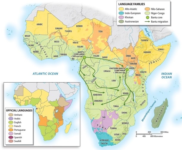 <strong>You are travelling to both Angola and Mozambique. Which language would be practical to learn before you depart? </strong> A)French B)Arabic C)Spanish D)Portuguese E)English