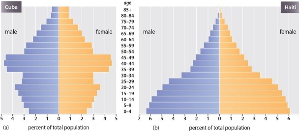 <strong>The population pyramids for Cuba and Haiti reveal </strong> A)the population of Haiti is stable and older than that of Cuba B)Cuba will expect explosive population growth in coming decades C)life expectancy is longer in Haiti than in Cuba D)there are more children as percentage of the Cuban population than the Haitian population E)the population of Cuba is stable and older than that of Haiti