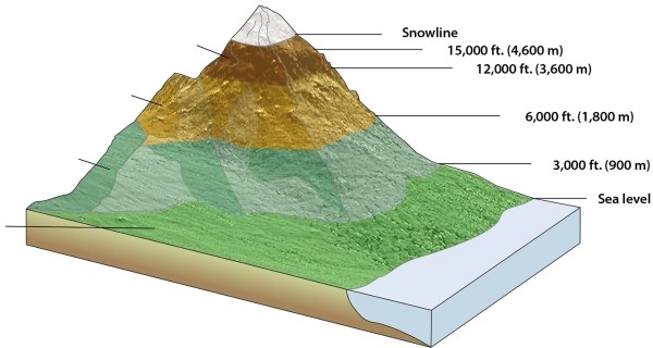 <strong>What is the correct order of ecosystems in altitudinal zonation, starting at lowest elevation and going to highest elevation? </strong> A)(1)tierra templada; (2)tierra fria; (3)tierra helada; (4)tierra caliente B)(1)tierra templada; (2)tierra helada; (3)tierra caliente; (4)tierra fria C)(1)tierra helada; (2)tierra caliente; (3)tierra templada; (4)tierra fria D)(1)tierra fria; (2)tierra helada; (3)tierra caliente; (4)tierra templada E)(1)tierra caliente; (2)tierra templada; (3)tierra fria; (4)tierra helada