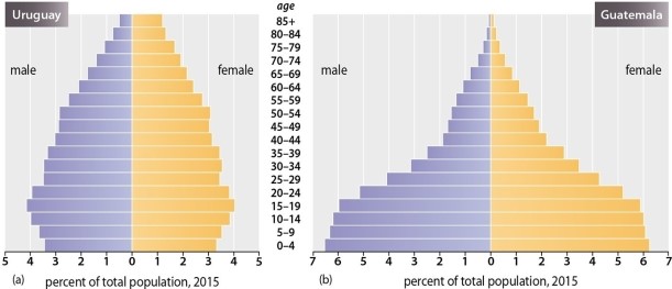 <strong>Which of the following statements is TRUE regarding the population pyramids for Uruguay and Guatemala? </strong> A)Uruguay has a higher rate of natural increase (RNI)than does Guatemala B)Guatemala has a higher RNI and TFR than does Uruguay C)The population of Uruguay is generally younger than that of Guatemala D)Guatemala has a lower total fertility rate (TFR)than does Uruguay E)Uruguay will have significant population growth in the coming decades