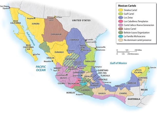 <strong>The extremely violent drug cartel known as the Zetas operate largely in which part of Mexico? </strong> A)exclusively in the capital of Mexico City B)the southern highland states of Oaxaca and Chiapas C)the Baja Peninsula D)the Gulf of Mexico states, such as Veracruz, and in Nuevo Leon E)in the state of Sinaloa