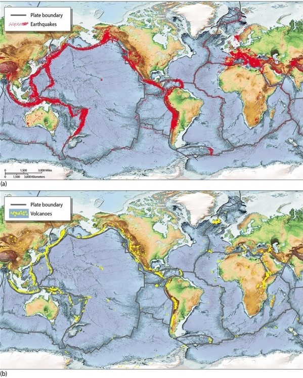<strong>Where are earthquakes and volcanoes most commonly found? </strong> A)at the edges of oceans B)in the higher latitudes C)around the equator D)along tectonic plate boundaries E)The location is random.
