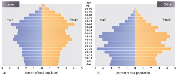 <strong>Which of the following statements is TRUE regarding the population pyramids of China and Japan? </strong> A)Japan and China both have high birth rates. B)Japan is growing faster than China. C)Japan has a younger population than China. D)Japan faces a critical shortage of young people in future generations. E)Both Japan and China exhibit high growth.