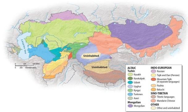 <strong>What is the most common language group in Central Asia, based on the number of native speakers? </strong> A)Turkic B)Mongolian C)Tibetan D)Farsi E)Indo-European