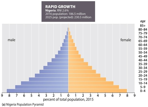 <strong>The following population pyramid is indicative of </strong> A)slow growth B)rapid growth C)zero growth D)a country with very few children E)negative growth