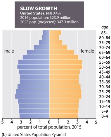 <strong>The following population pyramid is indicative of </strong> A)a nation in Stage 1 of the Demographic Transition Model B)rapid growth C)a nation in Stage 2 of the Demographic Transition Model D)slow growth E)a nation with large numbers of young children