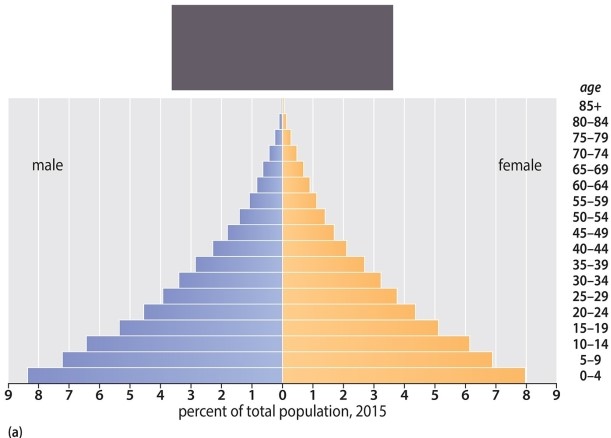 <strong>Based on your readings about population pyramids AND the Demographic Transition Model, which of the following nations is likely represented by this population pyramid? </strong> A)Japan B)Russia C)United States D)China E)Nigeria