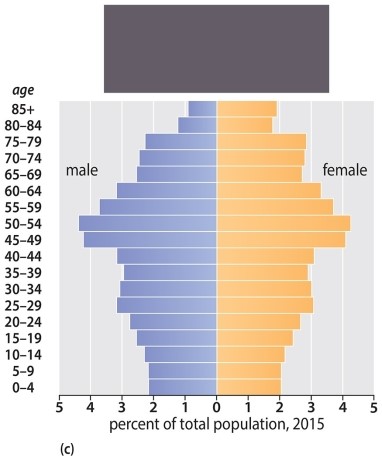 <strong>Based on your readings about population pyramids AND the Demographic Transition Model, which of the following nations is likely represented by this population pyramid? </strong> A)Nigeria B)Germany C)Bangladesh D)China E)Pakistan