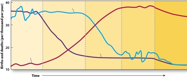Describe what happens to a nation as it goes from Stage 1 to Stage 4 of the Demographic Transition, making certain to address the birth rate, death rate and RNI.