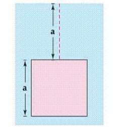 <strong>Find the fluid force of a square vertical plate submerged in water, where meters and the weight-density of water is 9800 newtons per cubic meter. </strong> A) B) C) D) E)
