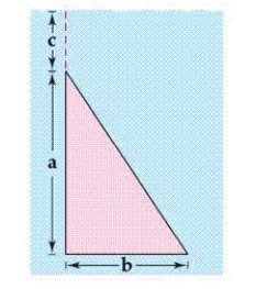 <strong>Find the fluid force of a triangular vertical plate submerged in water, where the dimensions are given in meters and the weight-density of water is 9800 newtons per cubic meter. </strong> A) B) C) D) E)