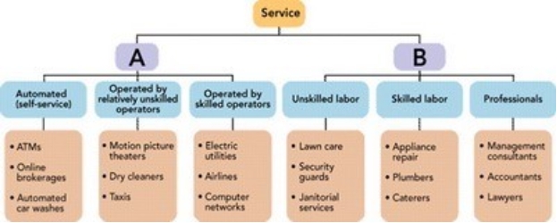 Figure 9-2 -Consider Figure 9-2 above. Services can be classified by their method of delivery. Box A represents