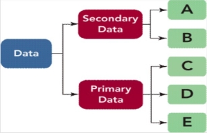 <strong> Figure 7-2 Figure 7-2 shows that primary data may be divided into three related parts. If D represents data collected from individual interviews, focus groups, or online surveys, which type of data is D?</strong> A) questionnaire data B) mined data C) internal secondary data D) external secondary data E) observational data