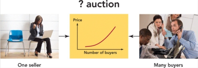 Figure 5-5a -Which type of auction does Figure 5-5a represent?