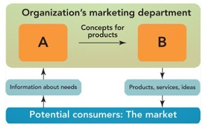 <strong> Figure 1-2 In Figure 1-2, A represents ________ and B represents ________.</strong> A) decisions by management; purchases by customers B) employees efforts; stakeholder rewards C) sales department; manufacturing department D) suppliers; distributors E) discovering consumer needs; satisfying consumer needs