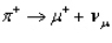 <strong>Which of the following decays violates conservation of lepton number?</strong> A) B) C) D)