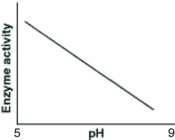 <strong>Catalase is an enzyme that functions in human liver cells where the pH is approximately neutral. Which of the following graphs best reflects the activity profile of catalase from pH 5 to pH 9?</strong> A) B) C) D)