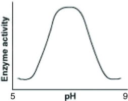 <strong>Catalase is an enzyme that functions in human liver cells where the pH is approximately neutral. Which of the following graphs best reflects the activity profile of catalase from pH 5 to pH 9?</strong> A) B) C) D)