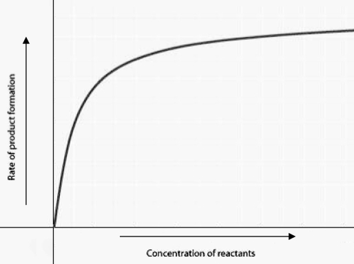 <strong> The figure displays the relationship between initial rate of product formation and reactant concentration in an enzyme-catalyzed reaction with a fixed amount of enzyme. Which of the following statements best explains the shape of the rate curve at high reactant concentration?</strong> A) Feedback inhibition by product occurs at high reactant concentrations. B) Most enzyme molecules are occupied by substrate at high reactant concentrations. C) The reaction nears equilibrium at high reactant concentrations. D) The rate of the reverse reaction increases at high reactant concentrations.
