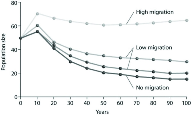 <strong>Use the graph to answer the following question. Based on the data provided, what factor of those listed below appears to be the most important in stabilizing the population from its initial size over the subsequent 100 years?</strong> A) The absence of migration B) A low migration rate C) A high migration rate
