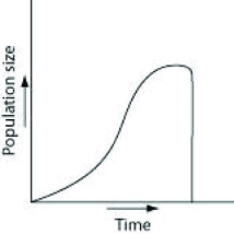 <strong>An undergraduate student is working in a research lab, and starting with a single bacterium, she cultures it in a flask of ideal nutrient broth at an optimum temperature over a two-hour period? Assume resources do not become limiting over this time frame.</strong> A) B) C) D)