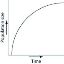 <strong>An undergraduate student is working in a research lab, and starting with a single bacterium, she cultures it in a flask of ideal nutrient broth at an optimum temperature over a two-hour period? Assume resources do not become limiting over this time frame.</strong> A) B) C) D)