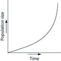<strong>Which of the following graphs best illustrates the growth curve of a small population of rodents that has increased to a static carrying capacity?</strong> A) B) C) D)