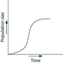 <strong>Which of the following graphs best illustrates the growth curve of a small population of rodents that has increased to a static carrying capacity?</strong> A) B) C) D)
