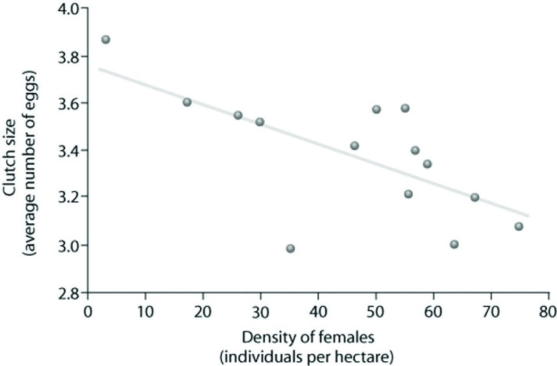 <strong>Use the graph to answer the following question. Which of the following claims can be best supported using the data?</strong> A) Clutch size is always lowest at a density of about 35 females. B) As female density increases, survivorship decreases. C) Clutch size increases as female density increases. D) Clutch size is inversely related to density.