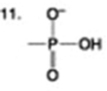 <strong>The following question is based on the 15 molecules illustrated in the figures. Which molecule has both hydrophilic and hydrophobic properties and is found in plasma membranes?</strong> A) 1 B) 5 C) 12 D) 14