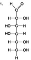 <strong>The following question is based on the 15 molecules illustrated in the figures. Which of the following molecules is the pentose sugar found in RNA?</strong> A) 1 B) 6 C) 12 D) 13