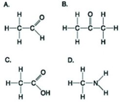 <strong>Use the figures to answer the following question. Which molecule shown has a carbonyl functional group in the form of a ketone?</strong> A) A B) B C) C D) D
