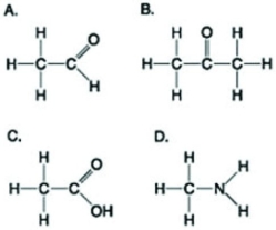 <strong>Use the figures to answer the following question. Which molecule shown can increase the concentration of hydrogen ions in a solution and is therefore an organic acid?</strong> A) A B) B C) C D) D