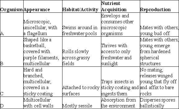 <strong>Use the table to answer the following question. A researcher is studying animals on a previously undiscovered island, home to many unfamiliar organisms, and decides to survey them using the research equipment at hand. The researcher observes them in detail, and makes the notations shown in the table. In which of the organisms listed would you most likely find collagen?</strong> A) organism A B) organism B C) organism C D) organism D